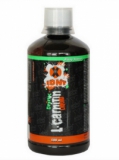 X-IONT L-CARNITIN 0,5l X-IONT L-CARNITIN 0,5l