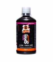 X-IONT SPEED hypo. 0,5l